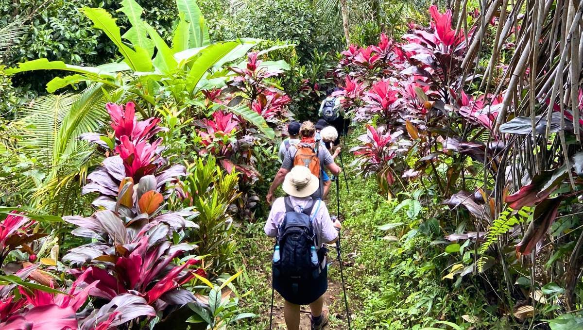 3-Apr-03-2026-12-41-41-3827-PM