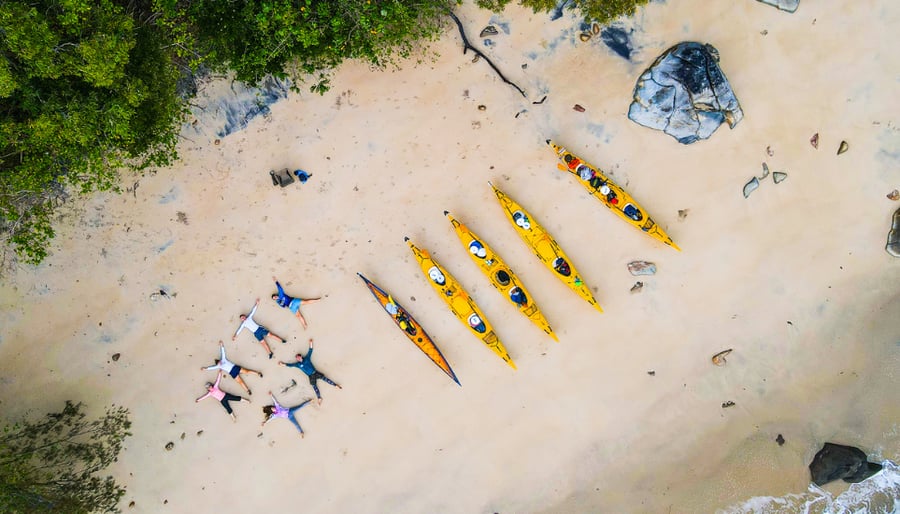 Hinchinbrook 963 pxl (1)