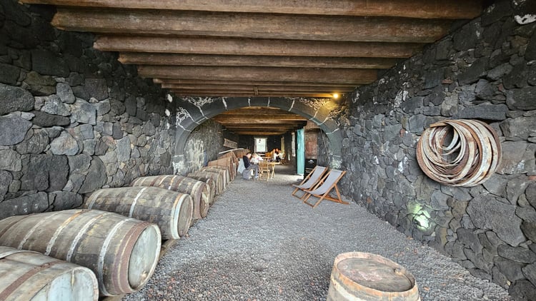 Adega (Wine Tasting)