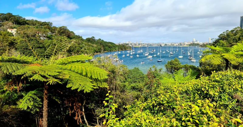 Sydney Harbour Pack-Free Hiking