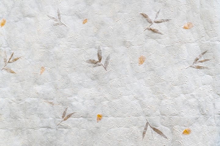 shutterstock_1553978768