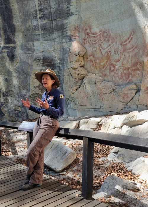 AW leader and local expert _ Learning about Aboriginal art from a local expert