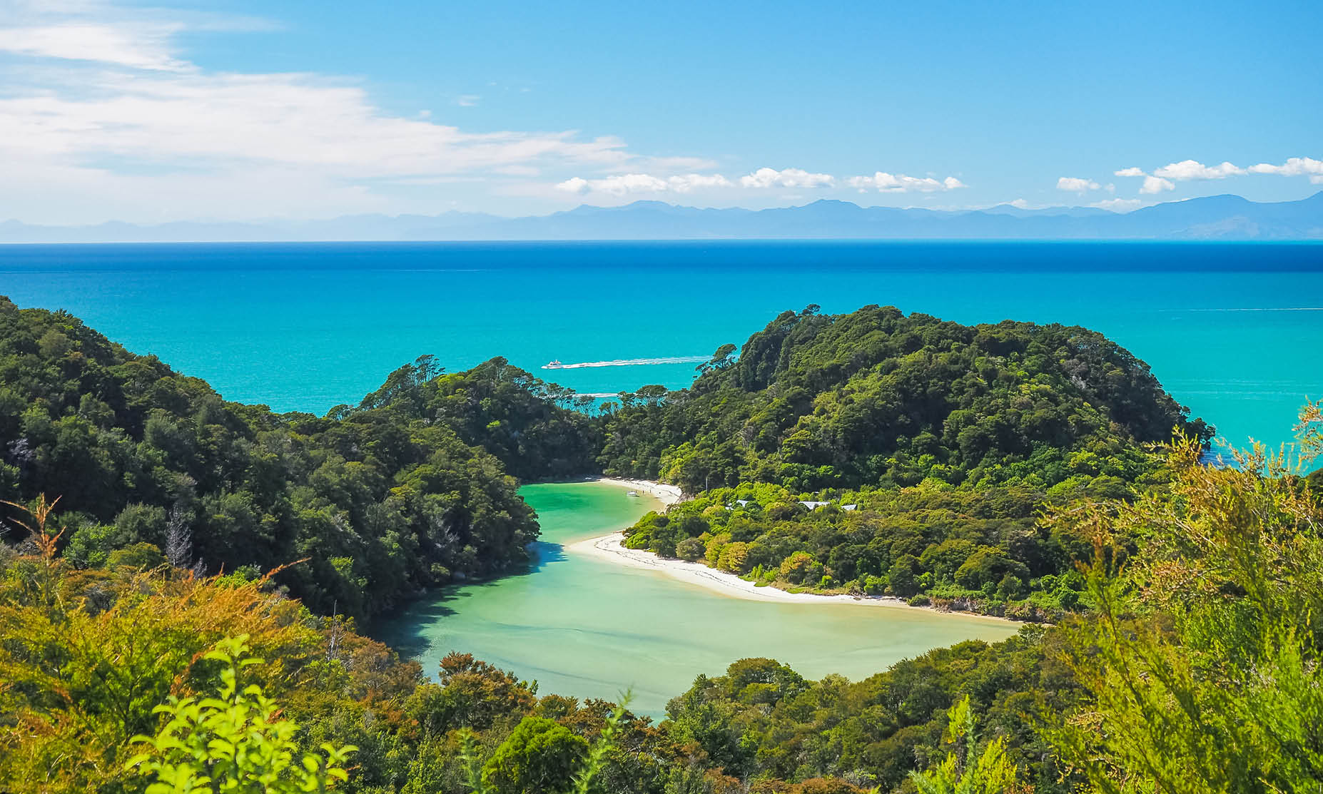 Abel Tasman New Zealand (1)