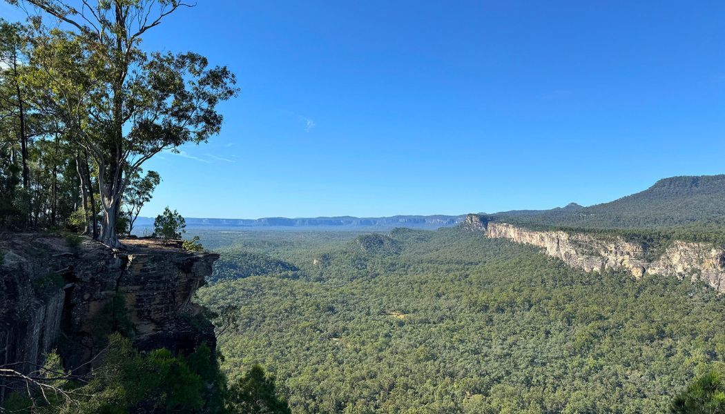 Carnarvon Gorge Views