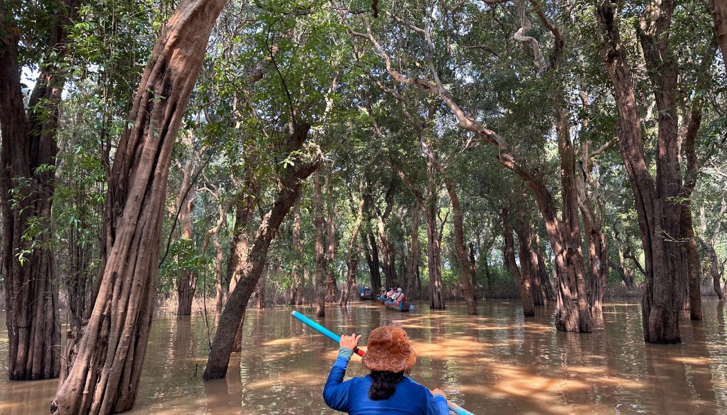 Discover the Tonle Sap flooded forest on small boats
