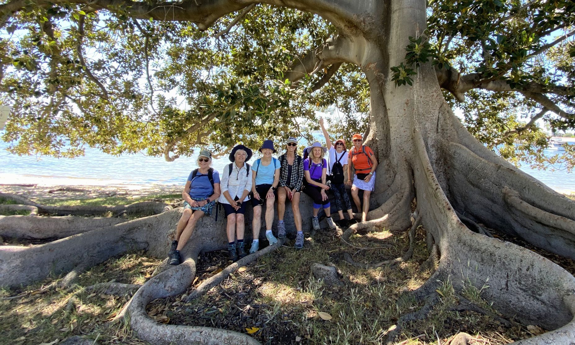 Nature’s giant canopy provides the perfect rest