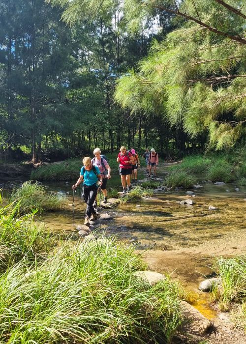 Short getaways or deeper dives _ Crossing a stream in the Carnarvon Gorge National Park