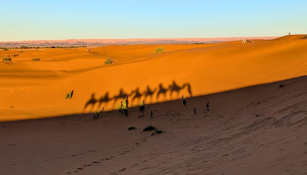 Spend a night in the desert