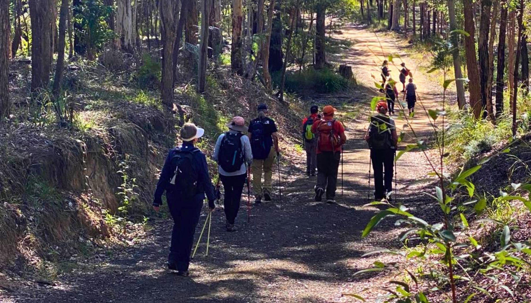 Hike White Rock Ridge Track- QLD