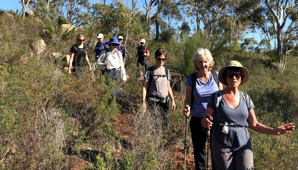 Womens hiking group on the Eagle view trail